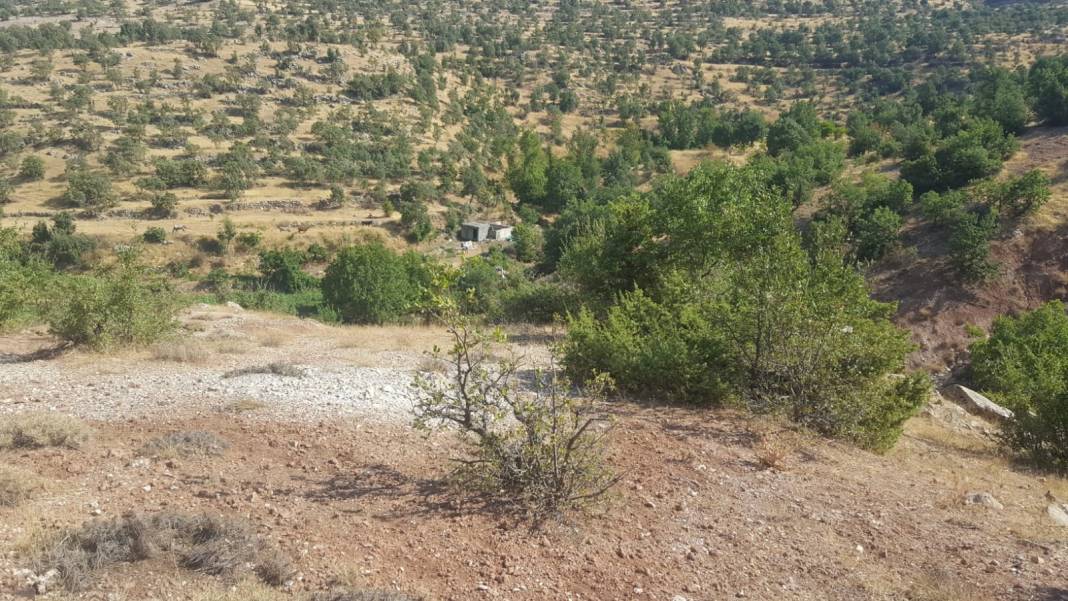 Gercüş Seki Köyü Resimleri 15