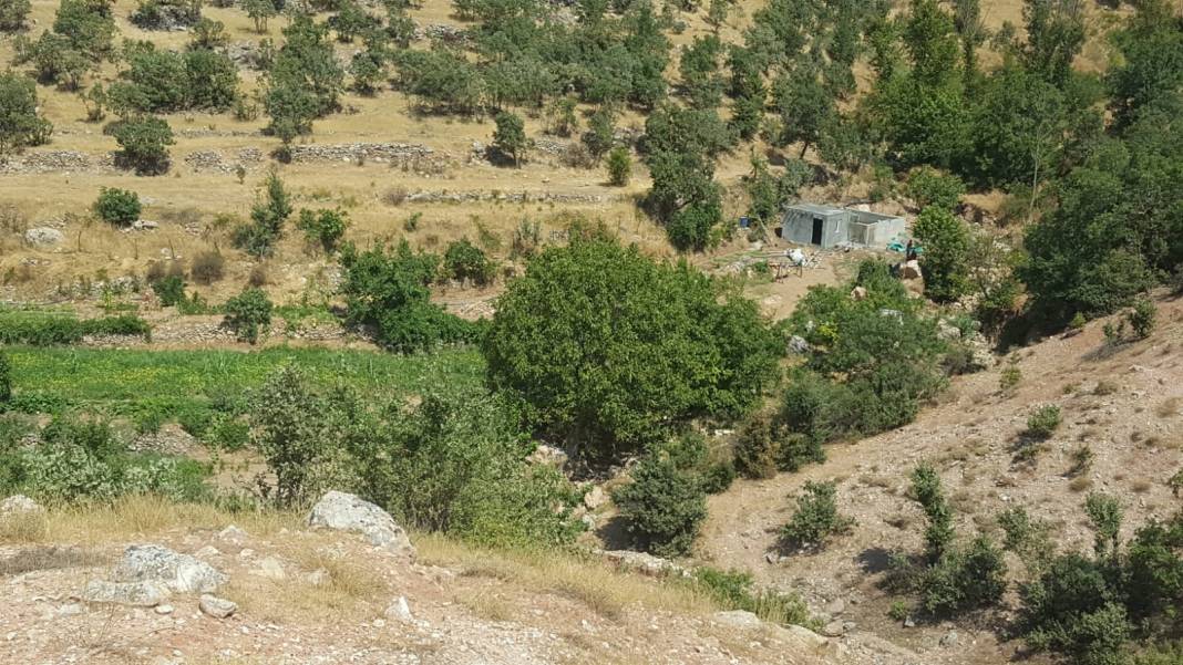 Gercüş Seki Köyü Resimleri 9