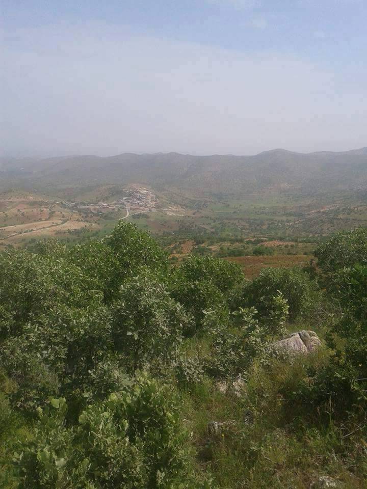 Gercüş Tepecik Köyü Resimleri 2