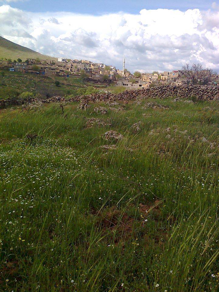 Gercüş Yakıtlı Köyü Resimleri 1