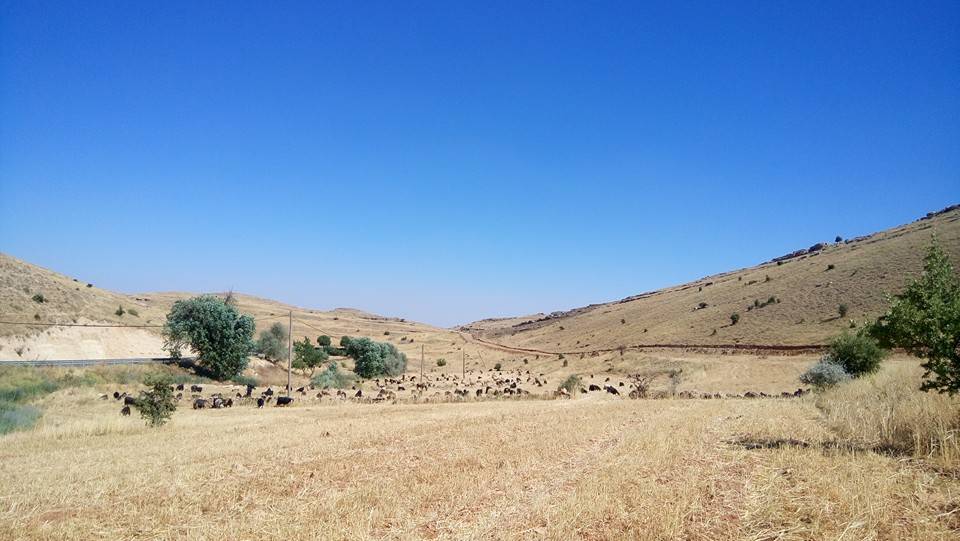 Gercüş Yamanlar Köyü Resimleri 1