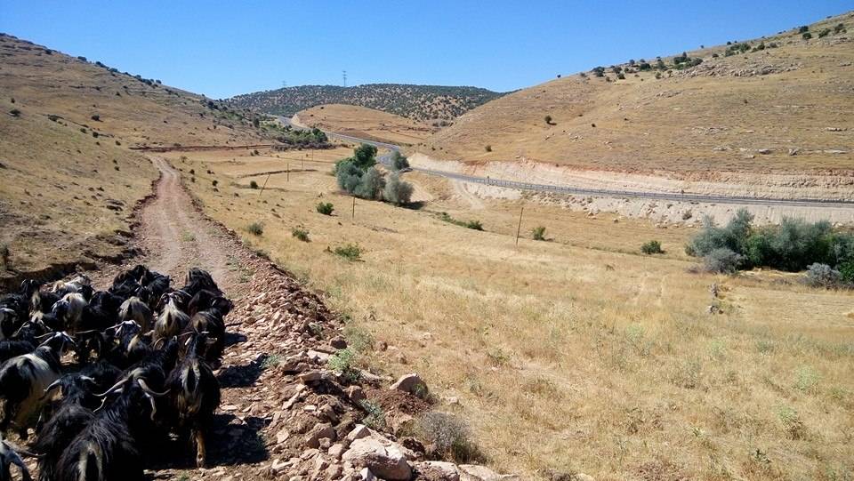 Gercüş Yamanlar Köyü Resimleri 11