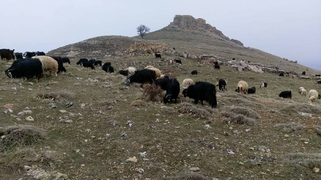 Gercüş Yamanlar Köyü Resimleri 6