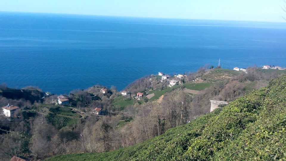 Çayeli Kemerköy Köyü Resimleri 1
