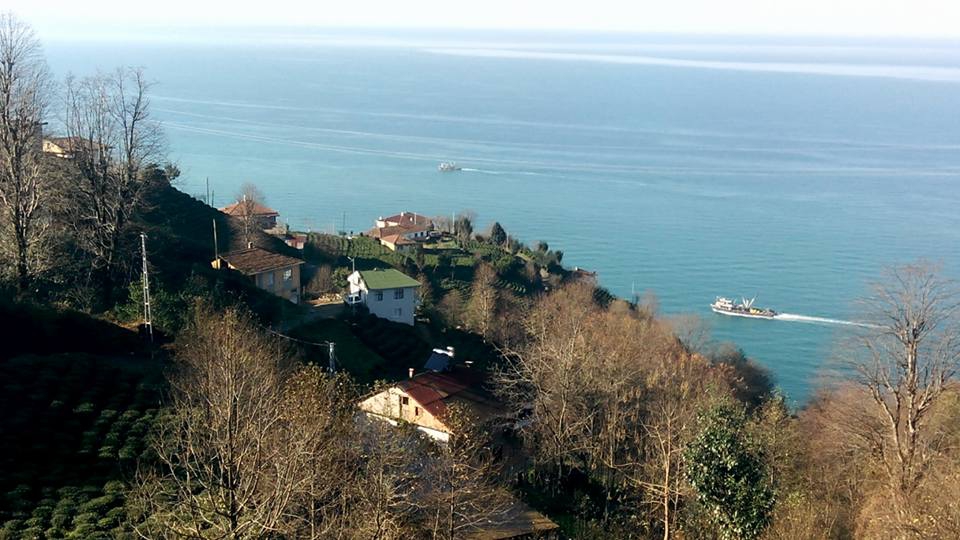 Çayeli Kemerköy Köyü Resimleri 10