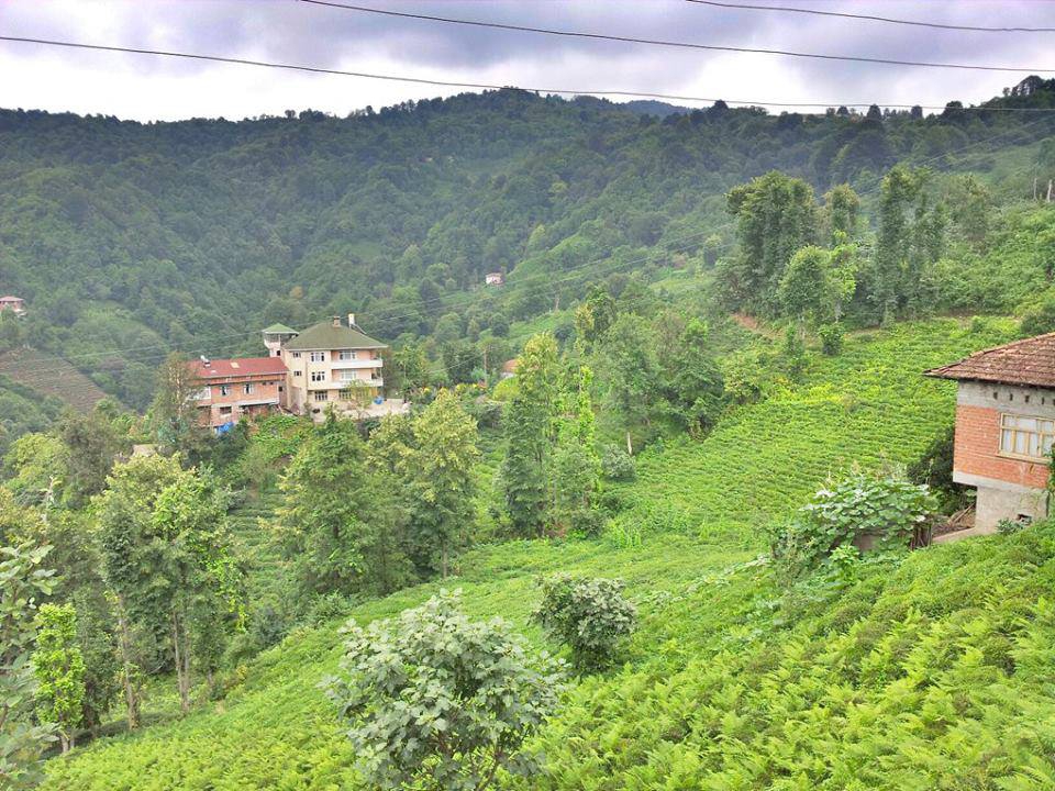 Çayeli Kemerköy Köyü Resimleri 11