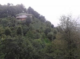 Çayeli Kemerköy Köyü Resimleri 2