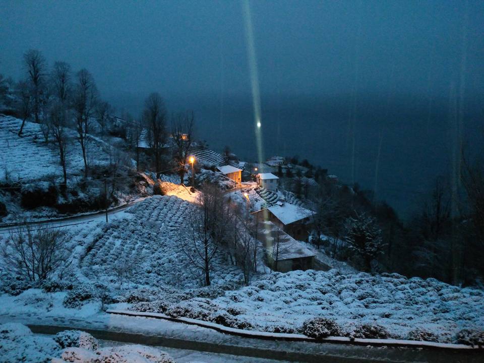 Çayeli Kemerköy Köyü Resimleri 3