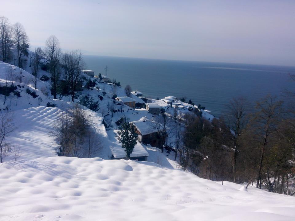 Çayeli Kemerköy Köyü Resimleri 4