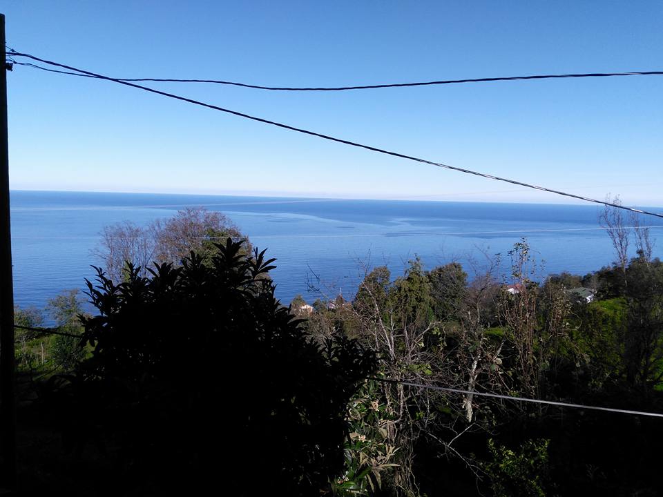 Çayeli Kemerköy Köyü Resimleri 5