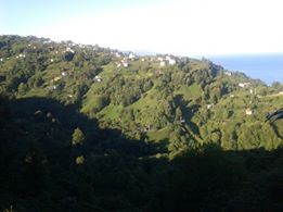 Çayeli Kemerköy Köyü Resimleri 6