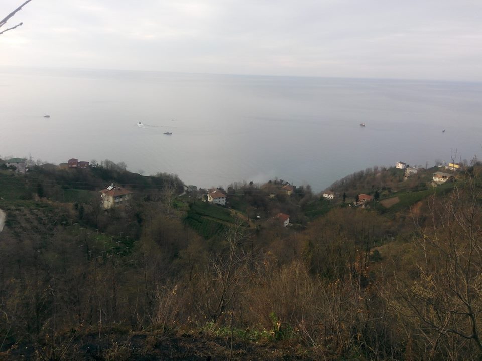 Çayeli Kemerköy Köyü Resimleri 8