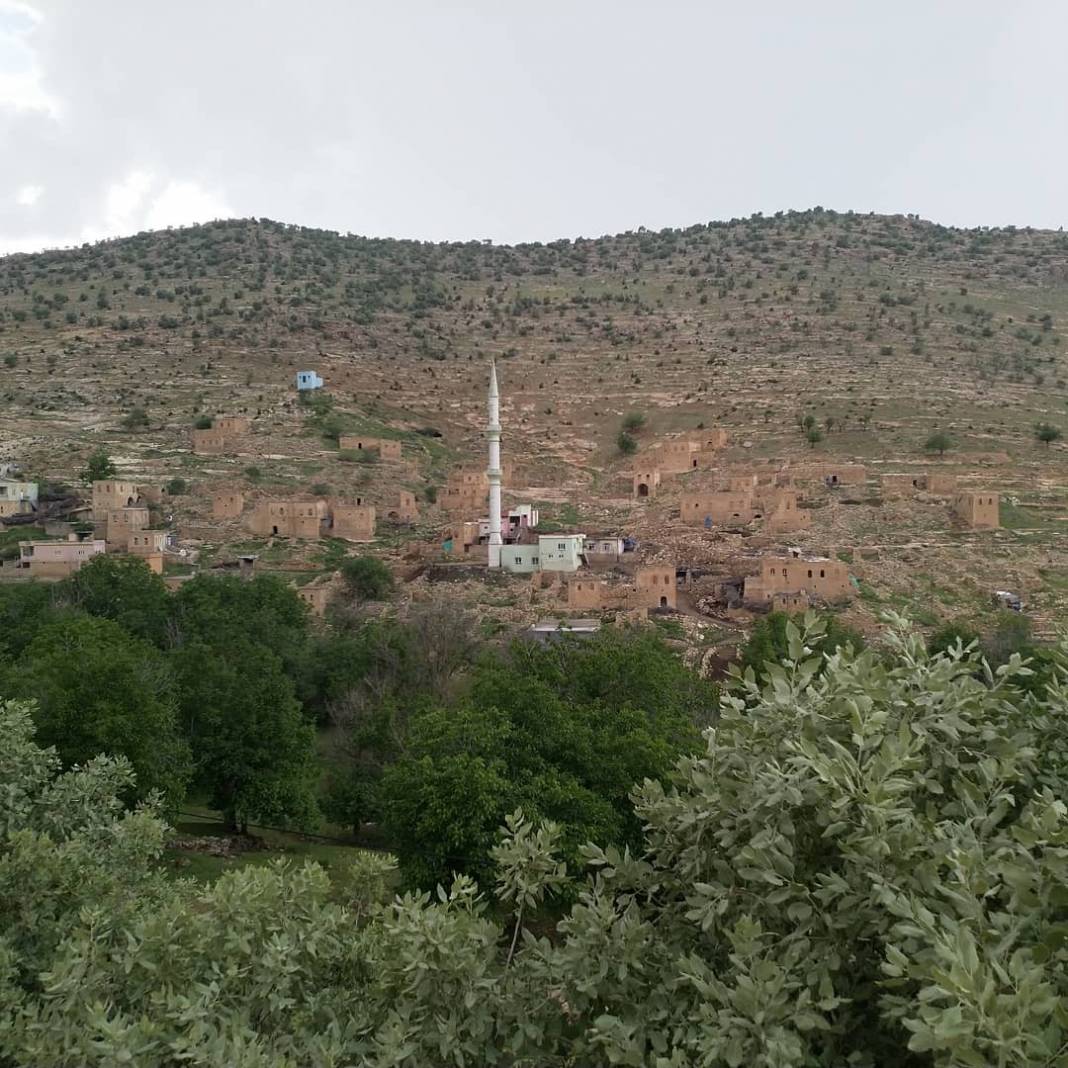 Gercüş Yayladüzü Köyü Resimleri 4