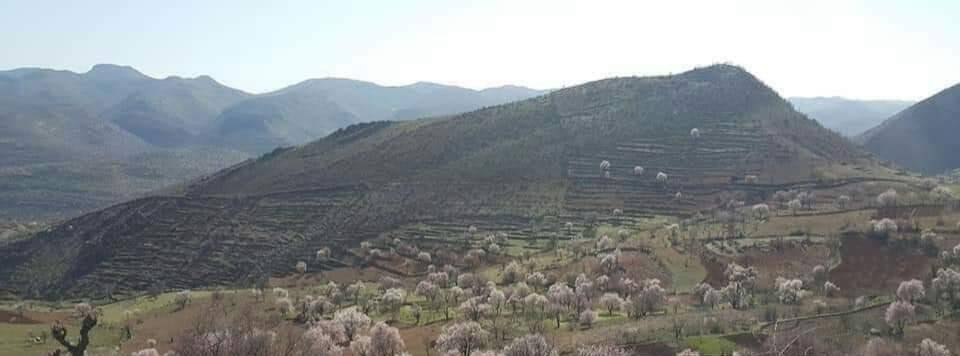 Gercüş Yemişli Köyü Resimleri 4