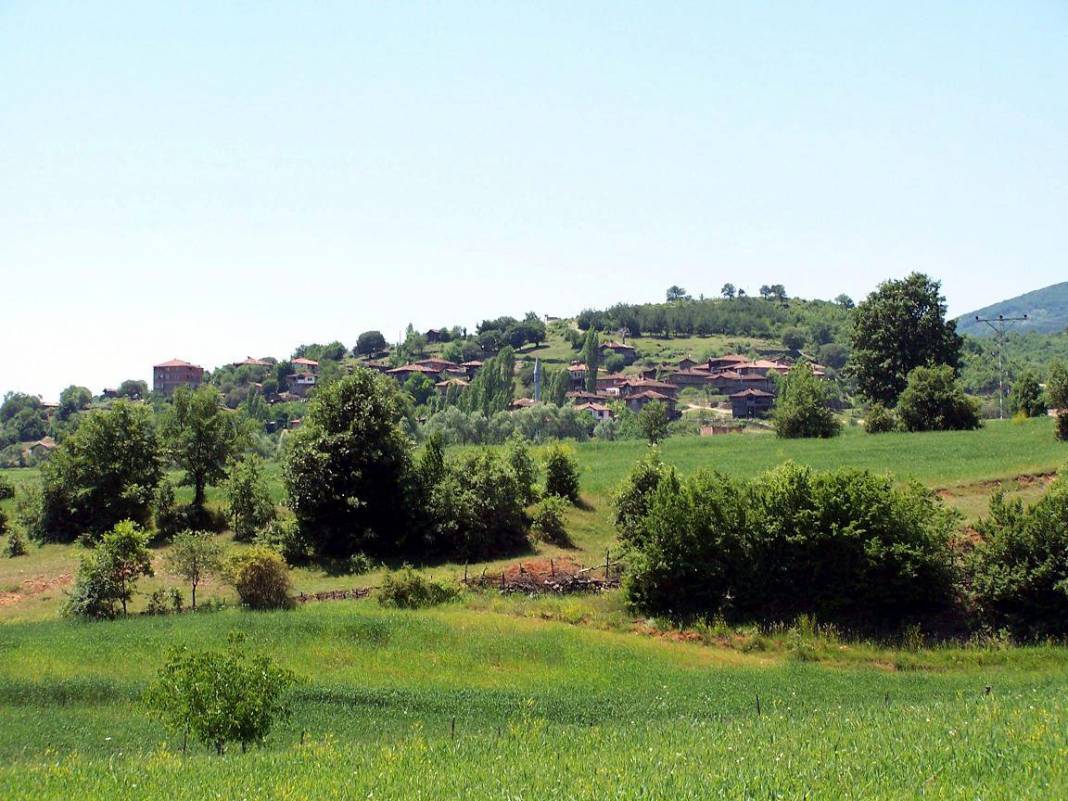 Boyabat Benişli Köyü Resimleri 1