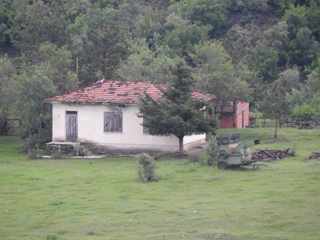 Boyabat Benişli Köyü Resimleri 4