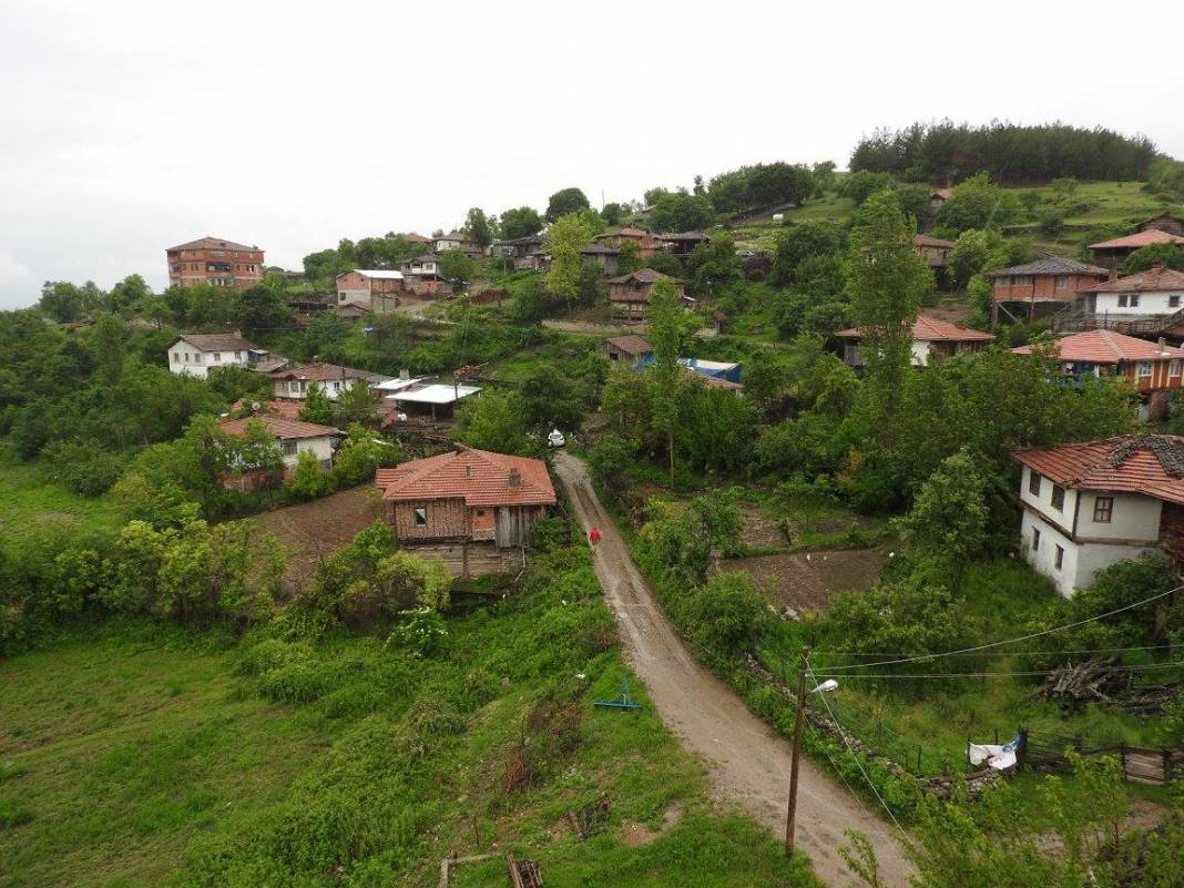 Boyabat Benişli Köyü Resimleri 7