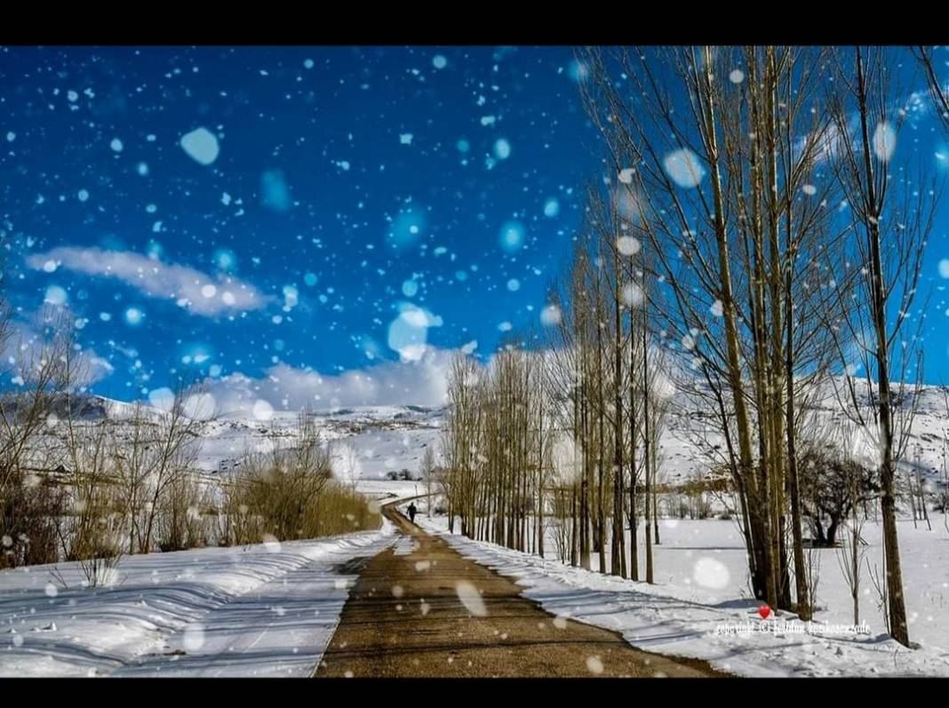 Gercüş Yenice Köyü Resimleri 2