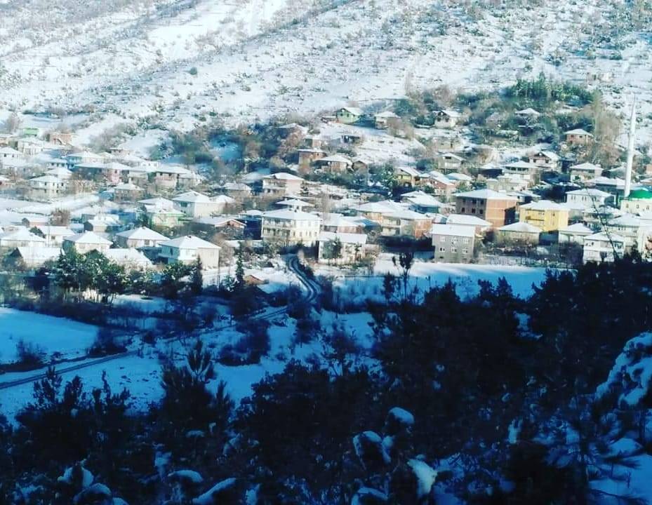 Boyabat Binerli Köyü Resimleri 4