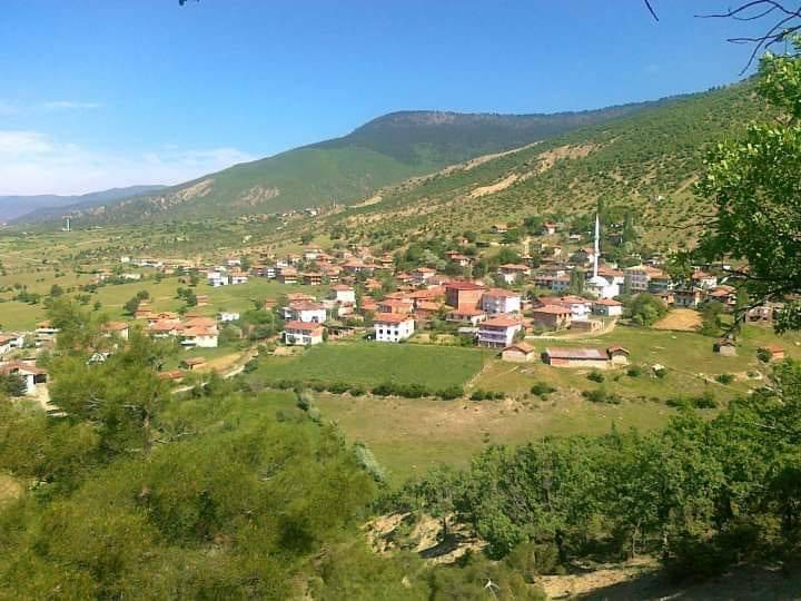 Boyabat Binerli Köyü Resimleri 5