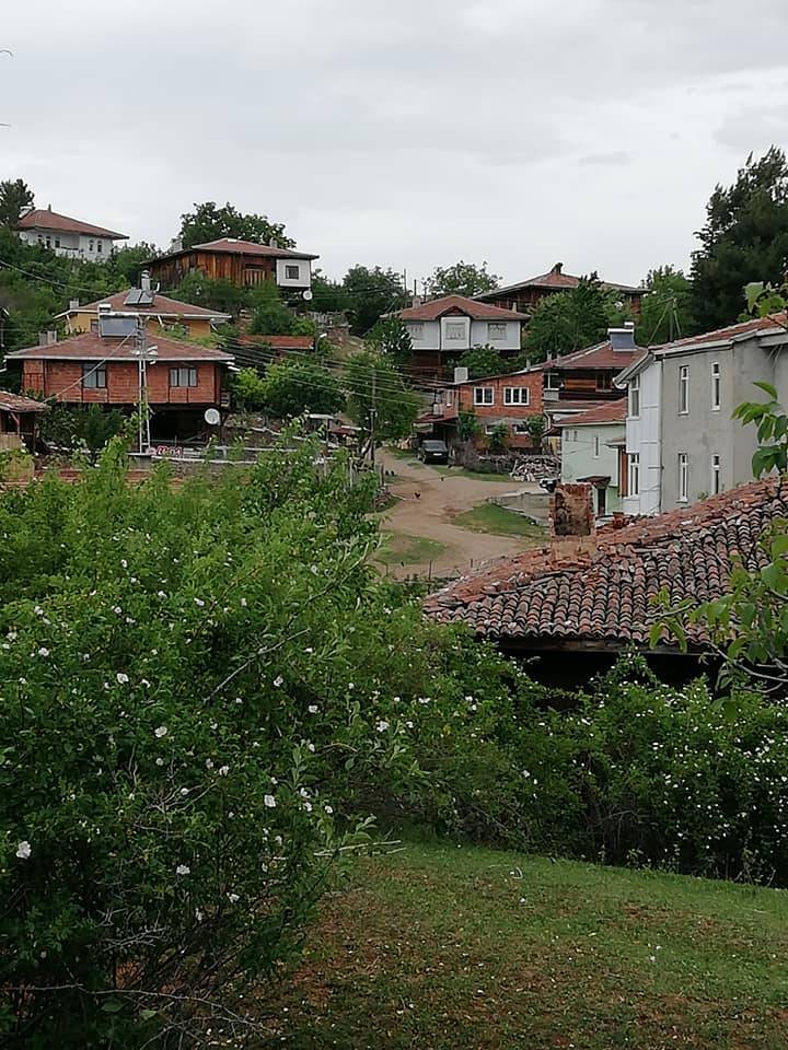 Boyabat Boyalı Köyü Resimleri 10