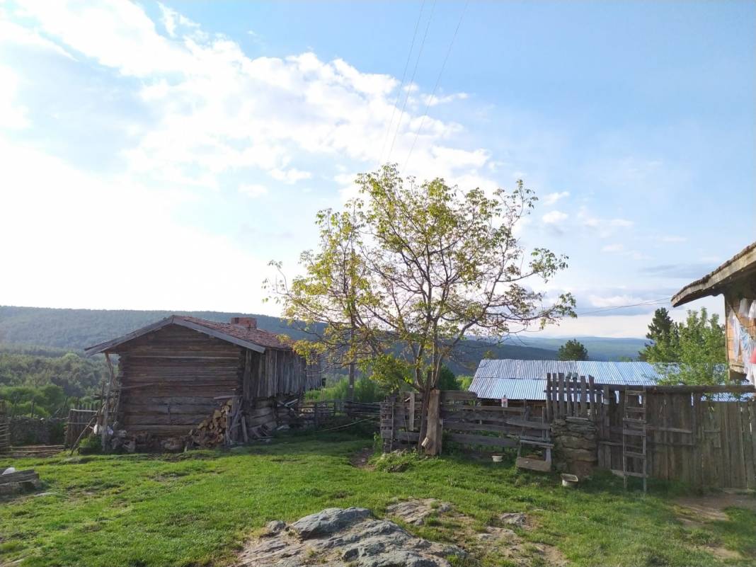 Boyabat Boyalı Köyü Resimleri 11