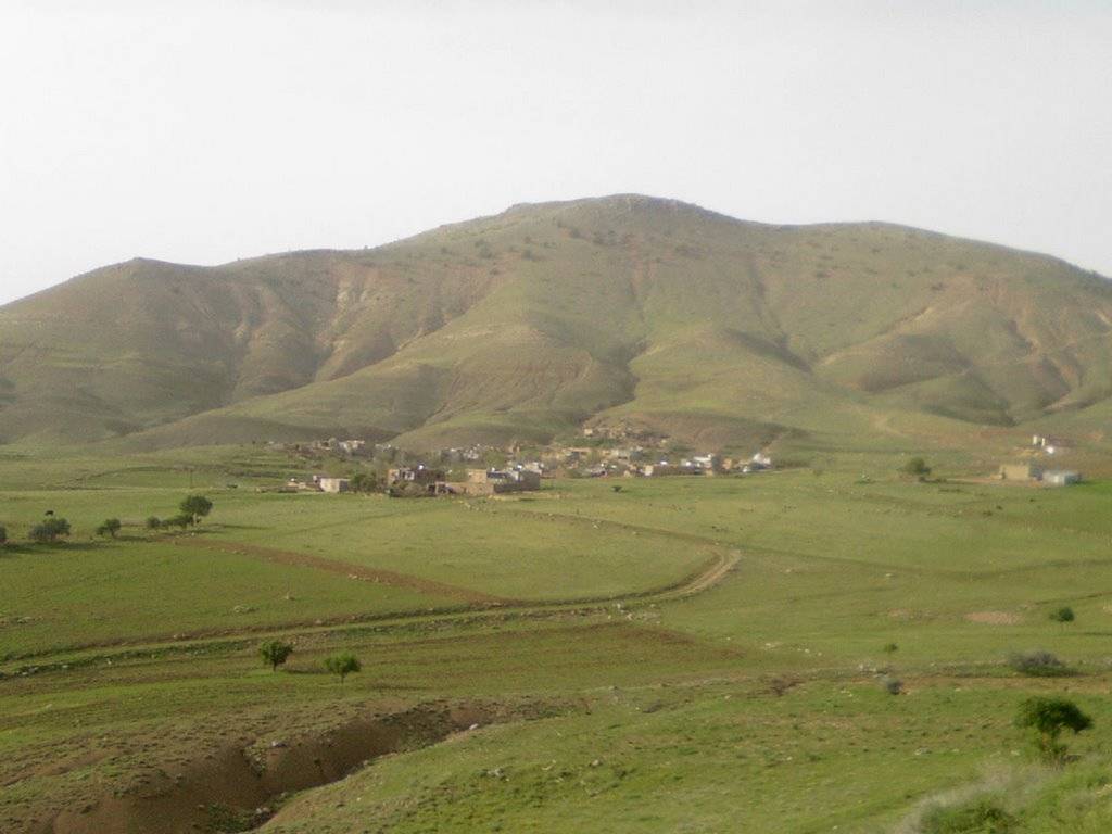 Gercüş Yüceköy Köyü Resimleri 1