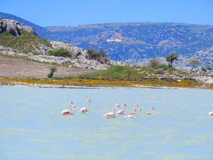 Yeşilova Yarışlı Köyü Resimleri 2