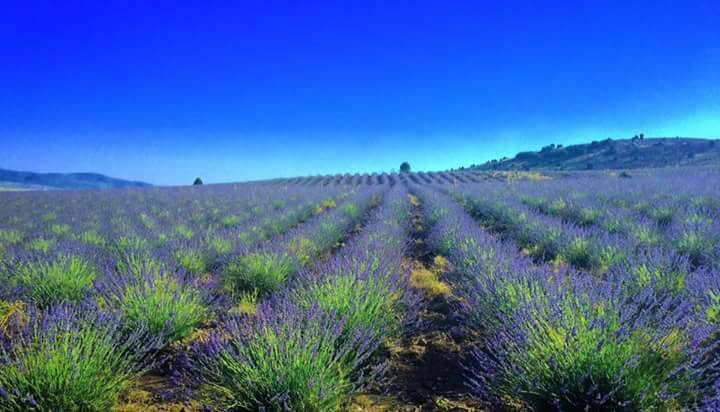 Yeşilova Yarışlı Köyü Resimleri 6
