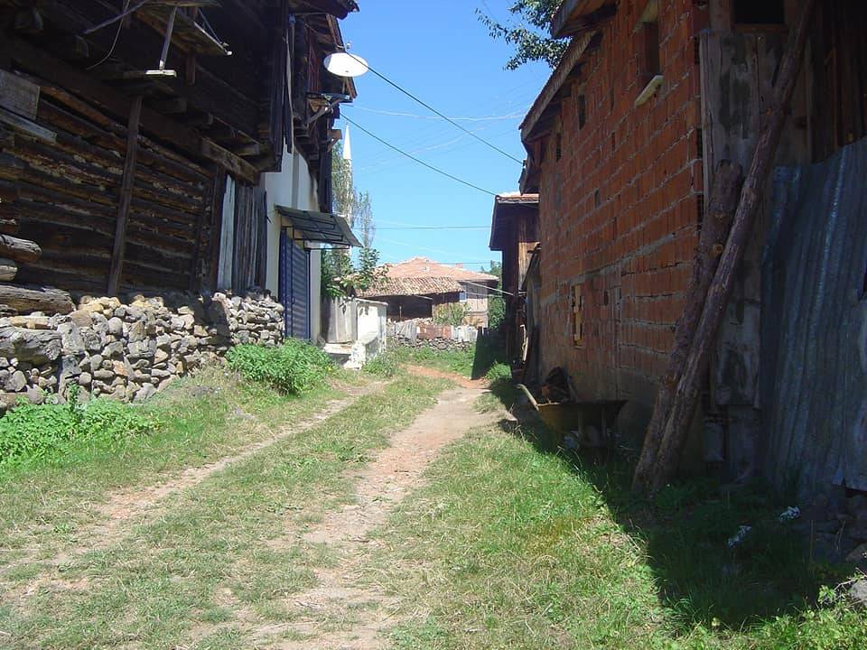 Boyabat Büyükkaraağaç Köyü Resimleri 15
