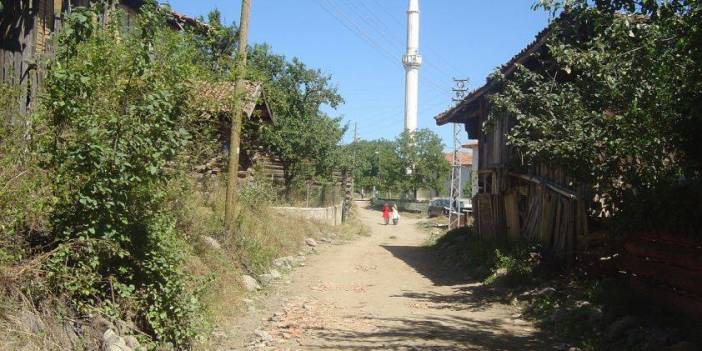 Boyabat Büyükkaraağaç Köyü Resimleri