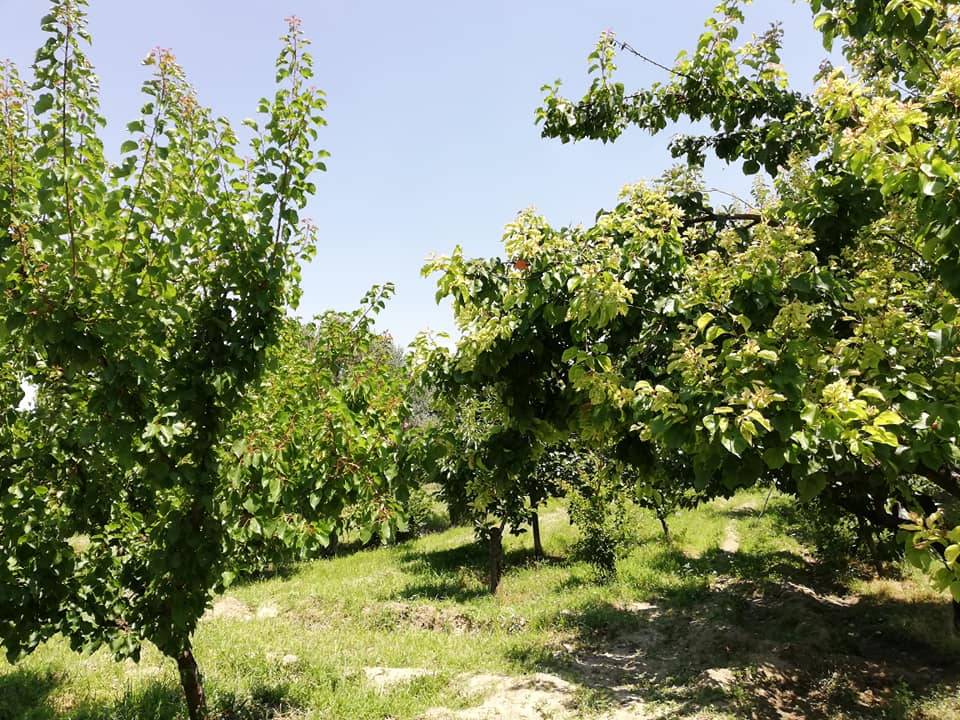 Burdur Askeriye Köyü Resimleri 3