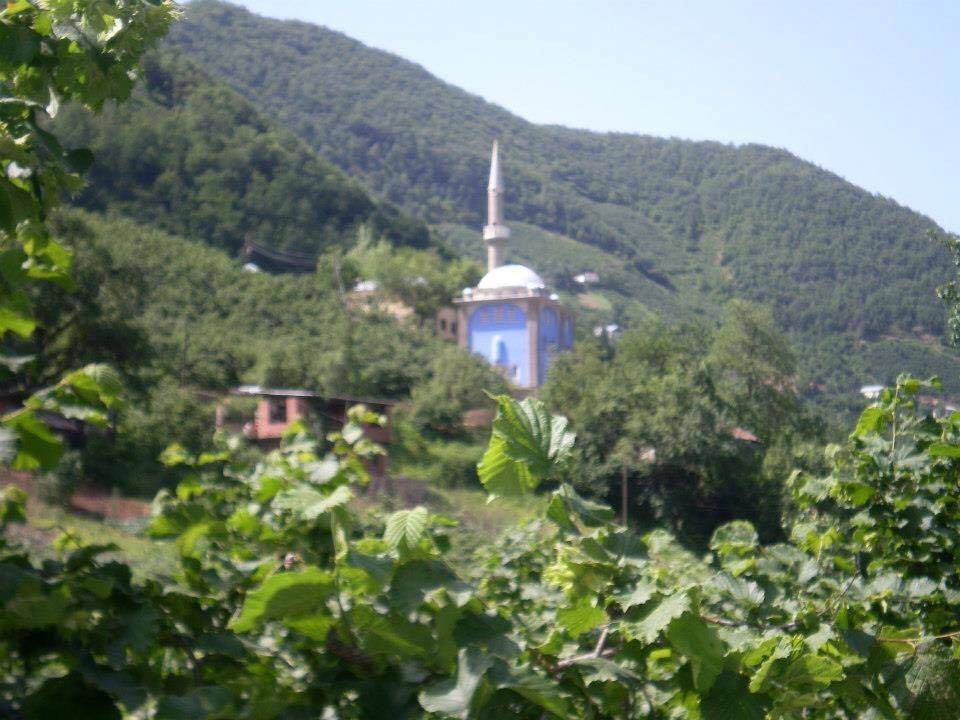 Sinop Çamlıköy Köyü Resimleri 2