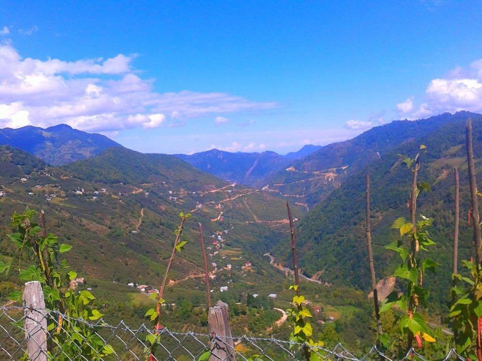 Sinop Çamlıköy Köyü Resimleri 3