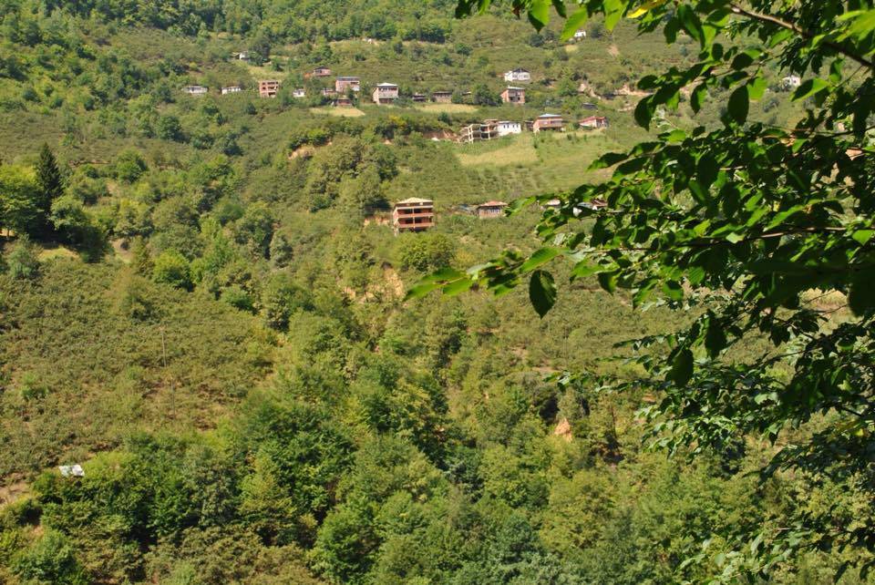 Sinop Çamlıköy Köyü Resimleri 4