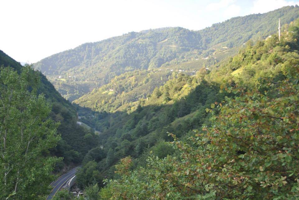 Sinop Çamlıköy Köyü Resimleri 5