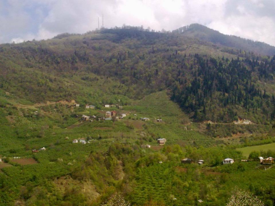 Sinop Çamlıköy Köyü Resimleri 6