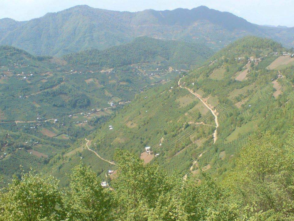 Sinop Çamlıköy Köyü Resimleri 7