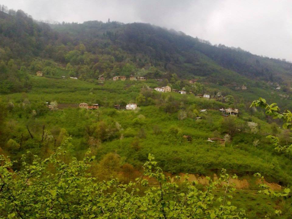 Sinop Çamlıköy Köyü Resimleri 8