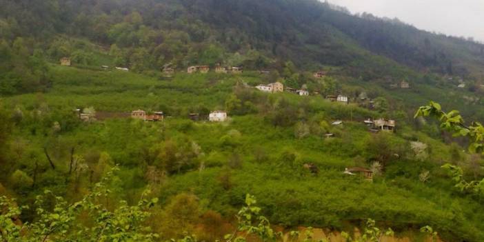 Sinop Çamlıköy Köyü Resimleri