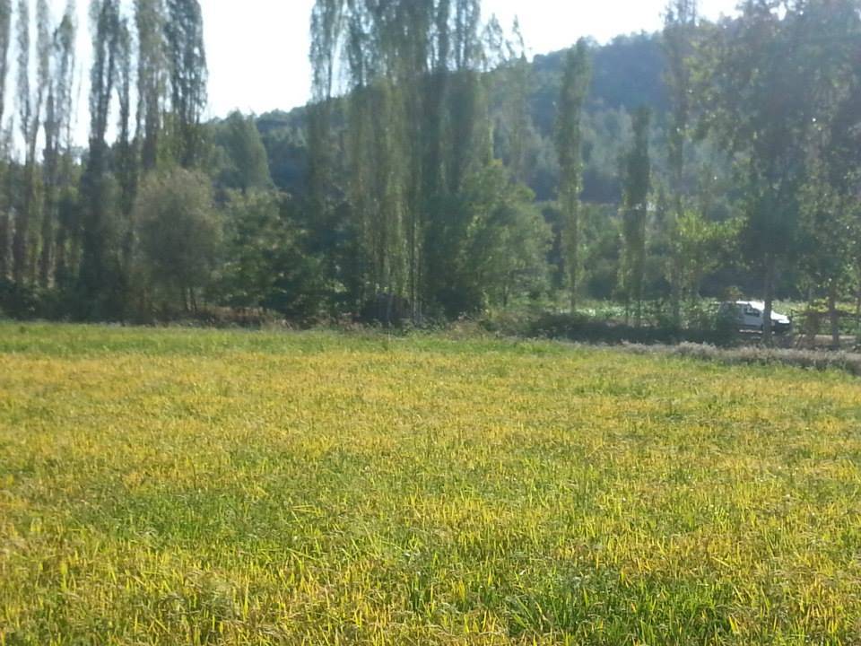 Sinop Çarşak Köyü Resimleri 3