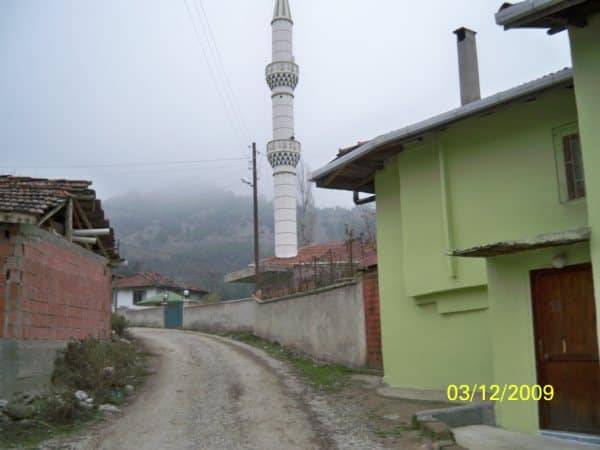 Sinop Çatpınar Köyü Resimleri 3