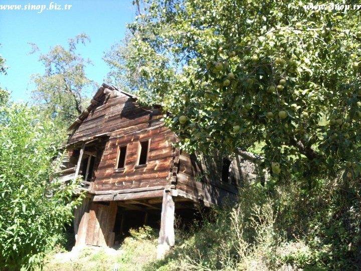 Sinop Çaybaşı Köyü Resimleri 2