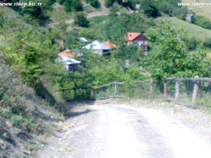 Sinop Çaybaşı Köyü Resimleri 3