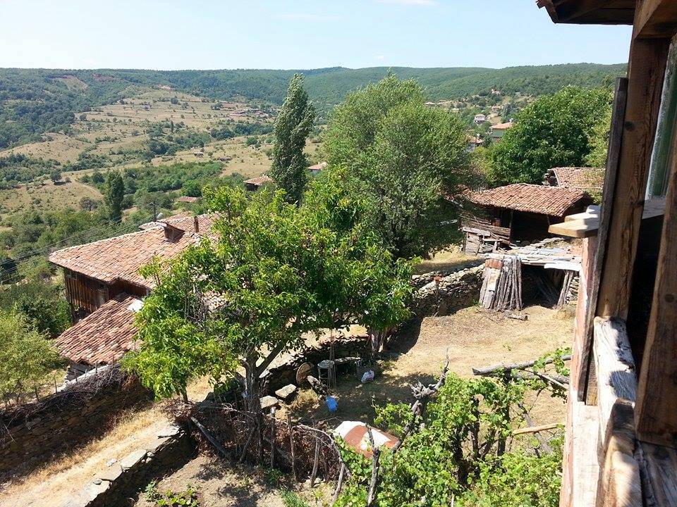 Sinop Çaybaşı Köyü Resimleri 4