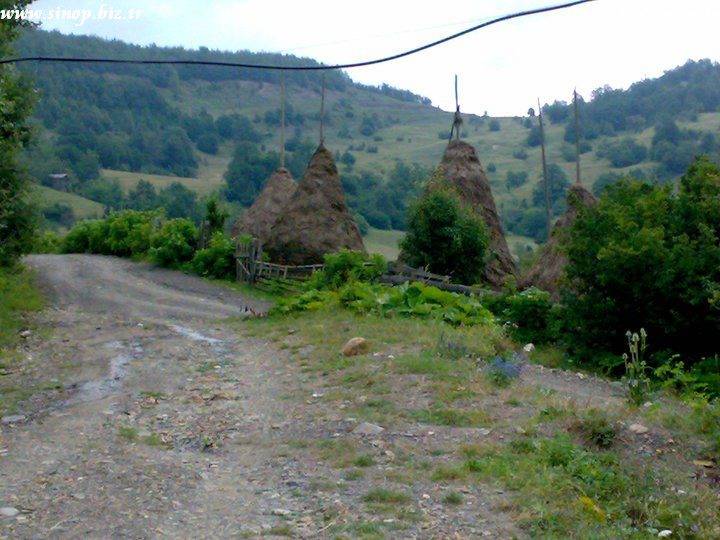 Sinop Çaybaşı Köyü Resimleri 9