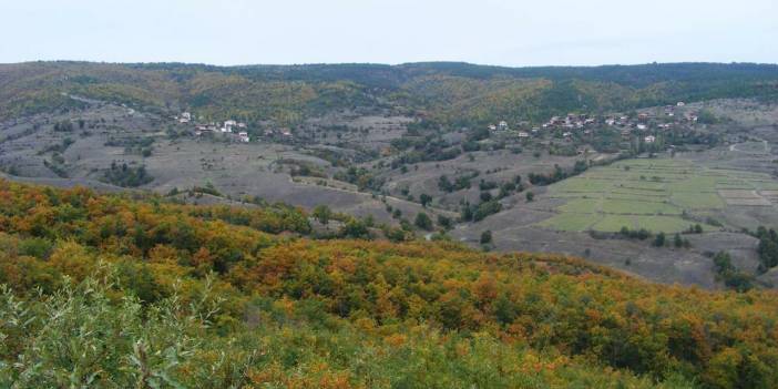 Sinop Çaybaşı Köyü Resimleri