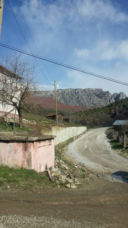 Sinop Çeşnigir Köyü Resimleri 1