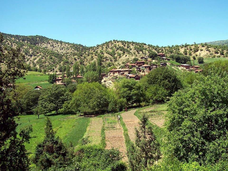 Sinop Çeşnigir Köyü Resimleri 11