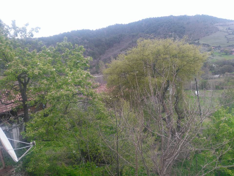 Sinop Çeşnigir Köyü Resimleri 3